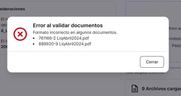 error de rut carga documentos.png